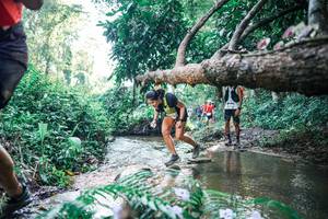 BIB: 
                            <button type="button" onclick="openModal(25439085)" class="btn btn-primary btn-sm float-right btn-popup" data-toggle="modal" data-target=".modal-high-quality">
                        <i class="fas fa-shopping-cart"></i> Add to Cart
                    </button>
                                            <button type="button" onclick="isThisMe(25439085, true)" class="btn btn-success btn-sm float-right btn-popup btn-isme hidden" data-toggle="tooltip" data-placement="bottom" title="นี่คือรูปของคุณใช่ไหม คลิกที่นี่เพื่อเอาเข้าอัลบั้ม">
                        <i class="fas fa-plus"></i> Add to album
                    </button>
                    <button type="button" onclick="isThisMe(25439085, false)" class="btn btn-warning btn-sm float-right btn-popup btn-isnotme hidden">
                        <i class="fas fa-ban"></i> Remove from album
                    </button>